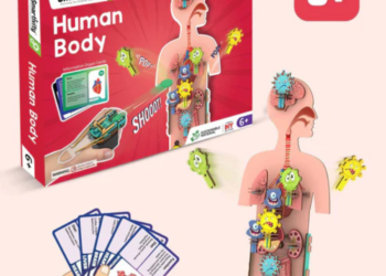 Human Body | 6-10 Years | DIY STEM Construction Toy