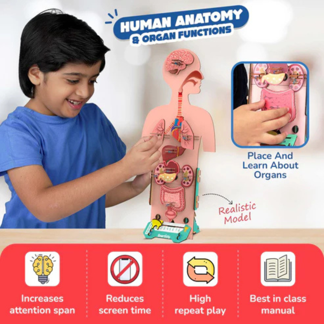 smartivity 9